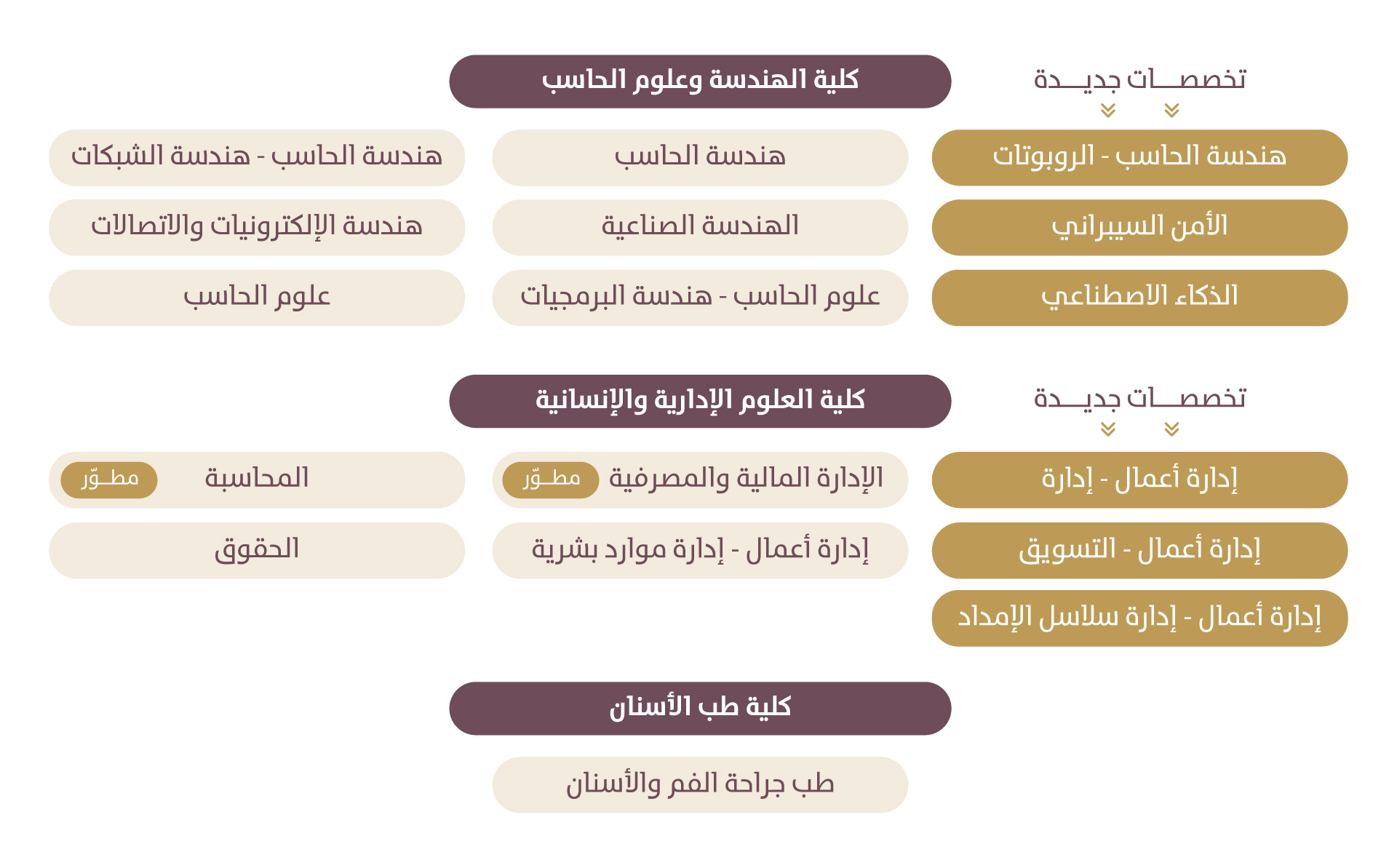 تخصصات الجامعة